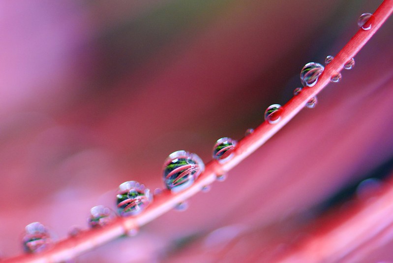 Water drops